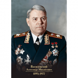 Портрет Василевского