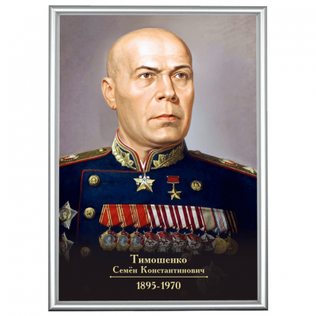 Портрет Тимошенко в рамке А3 (серебро)