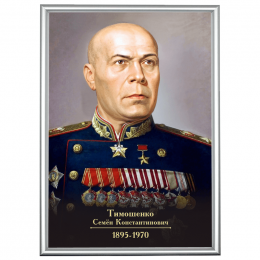 Портрет Тимошенко в рамке А3 (серебро)